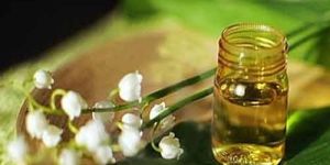 Jasmine Oil