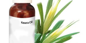 Kewra Oil