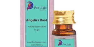 Angelica Root Essential Oil