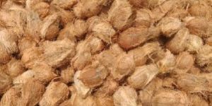 Organic Semi Husked Coconut