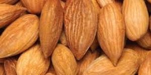 Almond Kernels