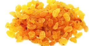 Golden Raisin