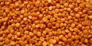 Chana Cattle Feed