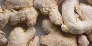 Brown Dried Ginger