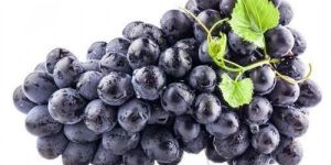 Fresh Black Grapes