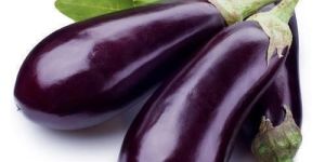 Fresh Brinjal