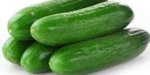 Fresh Cucumber