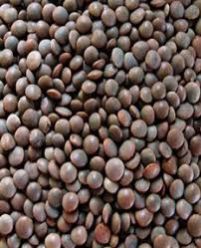 Brown Masoor Dal