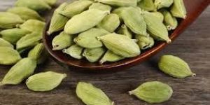 Green Cardamom