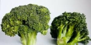 Fresh Broccoli
