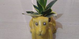 Ceramic Dog Planter