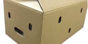 Fruit Packaging Boxes