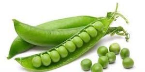 Fresh Green Pea