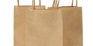 Plain Biodegradable Paper Bags