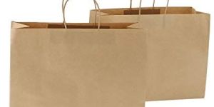 Plain Paper Bag with Handle