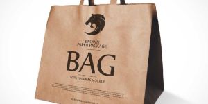Printed Paper Handle Bags