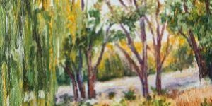 Colour Art in Scenery