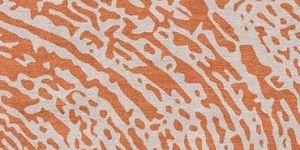 Designers Choice Carpet