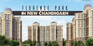 Real Estate Development