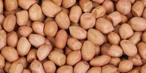Ground Nuts