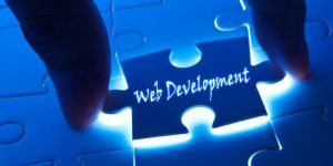 Open Source Web Development Services