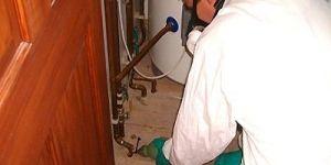 Cockroach Pest Control Service