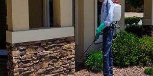 Residential Pest Control Service