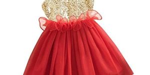 Girls Fancy Frock