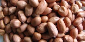 Natural Peanut Kernels