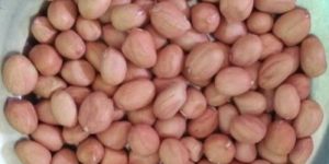 Raw Peanut Kernels