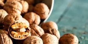 Shelled Walnuts