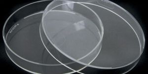 Petri Dish