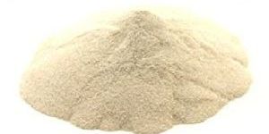 White Asafoetida Powder