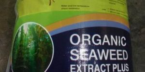 Seaweed Extract Flakes