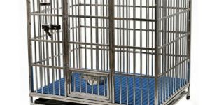 Stainless Steel Dog Cage