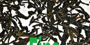 Green Tea- FINE