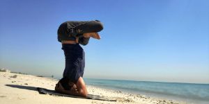 Yoga Teacher Training Services