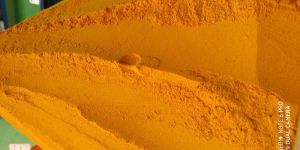 Nizamabad Turmeric Powder