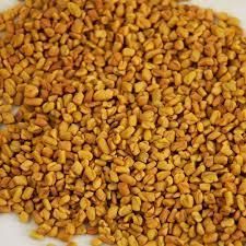 Sortex Fenugreek Seeds