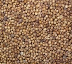 Sortex Coriander Seeds