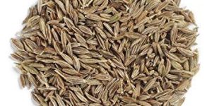 Cumin Seed