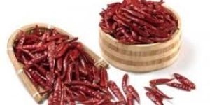 Raw Dried Red Chilli