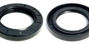 Oil Seal