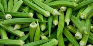Lady Finger