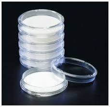 Disposable Petri Dish