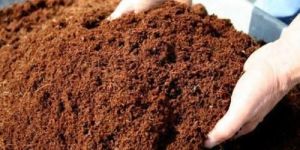 Coco Peat