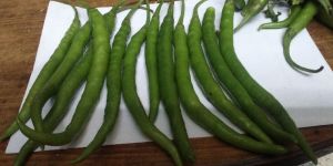 Fresh Green Chille