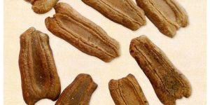 Bottle Gourd Seeds