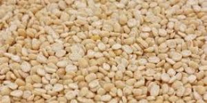 Polished Urad Dal