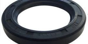 Oil Seal